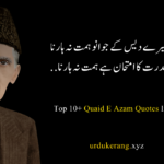 Quaid E Azam Quotes In Urdu