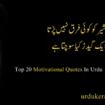 Motivational Quotes In Urdu