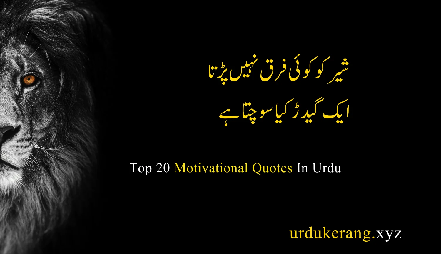 Motivational Quotes In Urdu