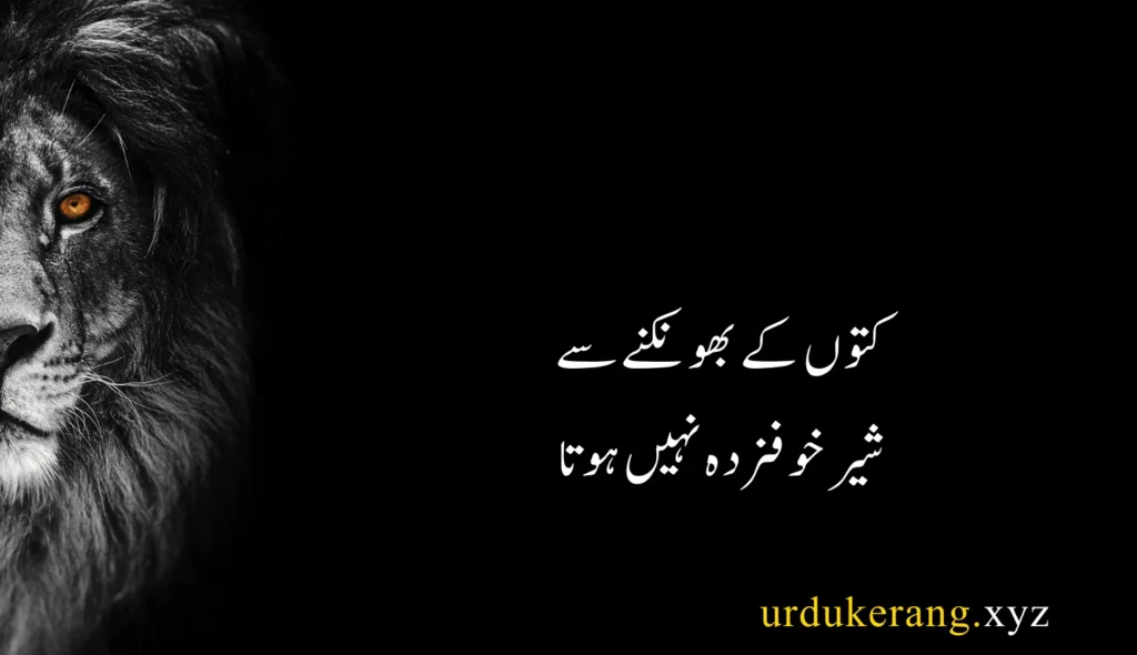 Motivational Quotes In Urdu 