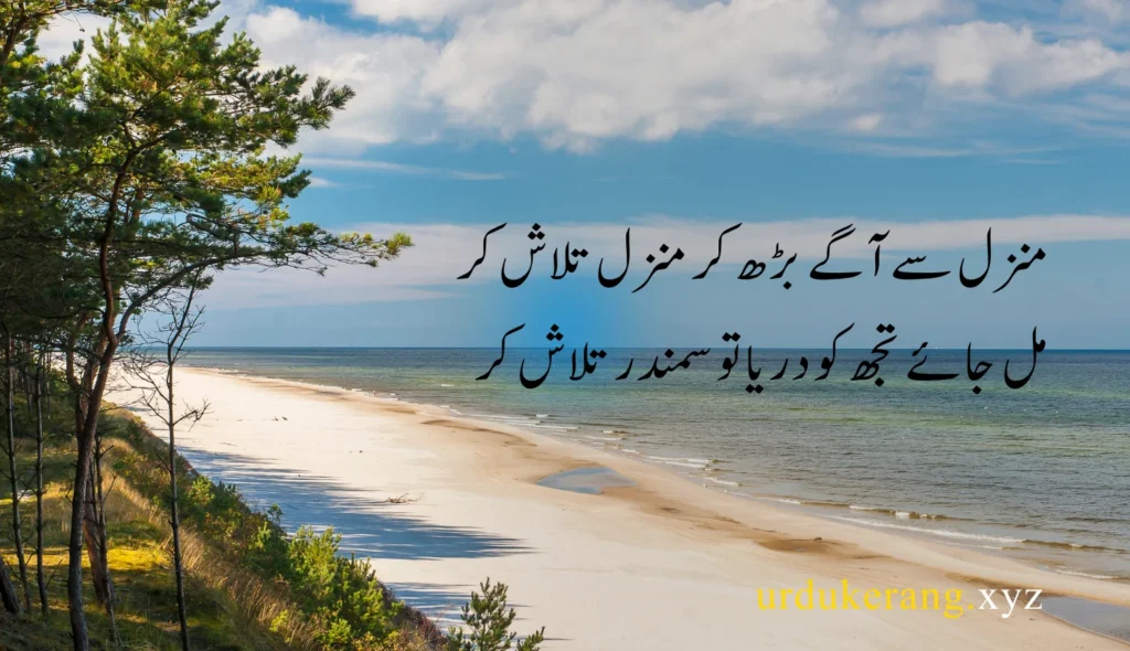 Motivational Quotes In Urdu 