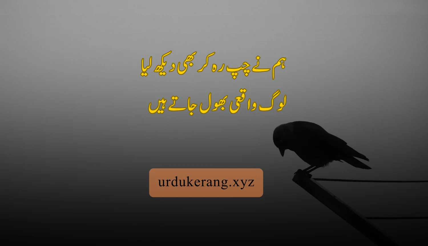 2-Line Urdu Poetry Copy Paste