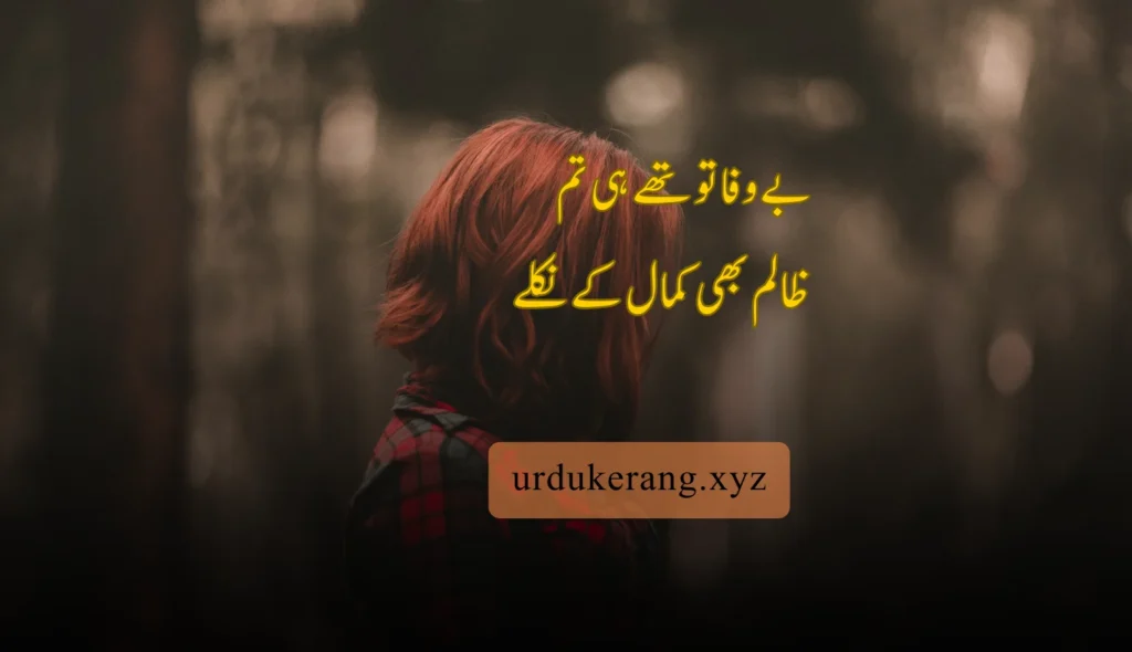 2 Line Urdu Poetry Copy Paste