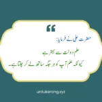 Hazrat Ali Quotes In Urdu